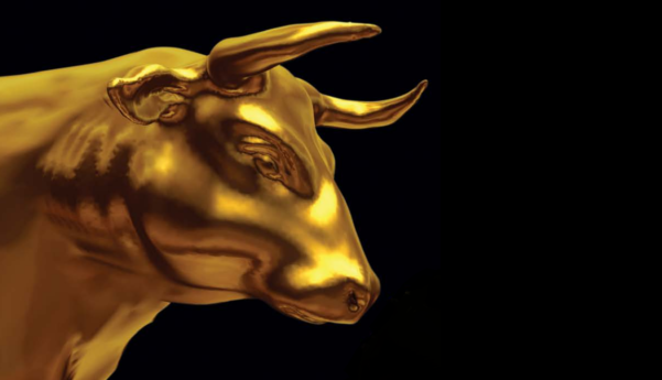gold-bull